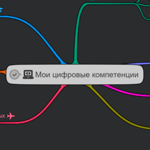 Мои цифровые компетенции 2