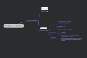 информационное управление