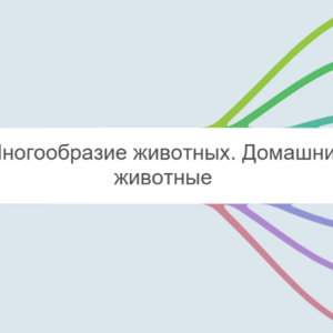 тема 24 