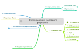 Формирование условного рефлекса