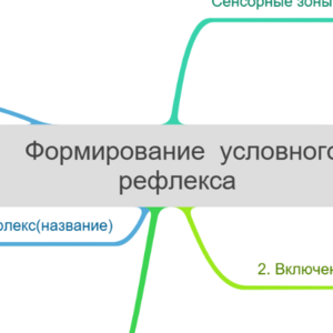 Формирование условного рефлекса