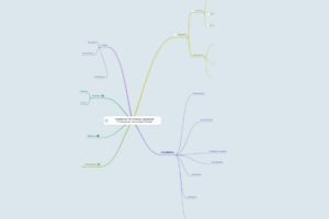 ТЦО задание 1 Рахимова 