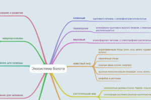 экосистема болота
