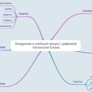 Ментальная карта. Шумилина Марина