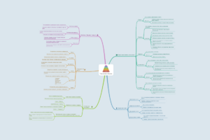 Таксономия Блума