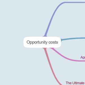 Opportunity costs
