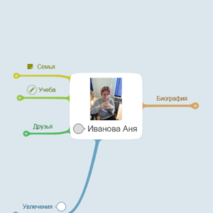 Мои достижения