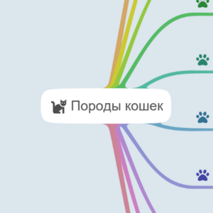 Породы кошек