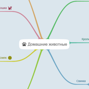 Домашние животные