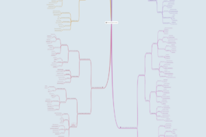 просихождение права