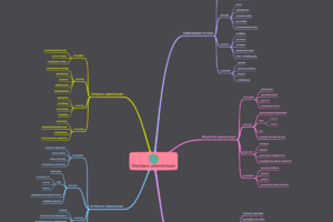 Мировые цивилизации