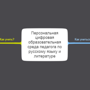 Персональная ЦОС педагога
