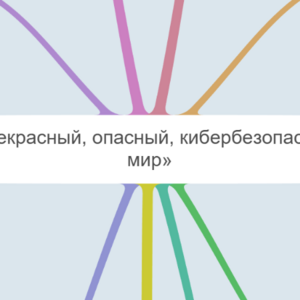 «Прекрасный, опасный, кибербезопасный мир». Романенко Ксения ИИЯ ОЗФО 401/2