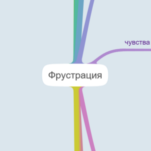 фрустрация. Муращенко Анна 531п