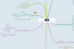 Ментальная карта Волкова А.