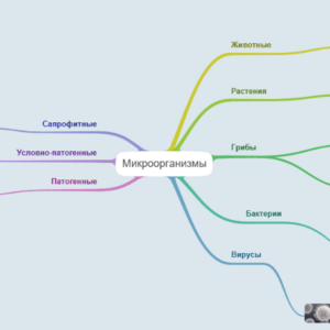 Микроорганизмы