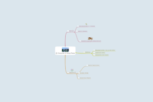 ЭКскурсия 2