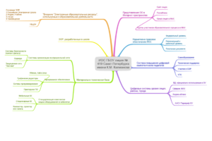 ЦОС ГБОУ лицея №419 Санкт-Петербурга