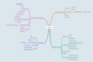 Ментальная карта(Кирилов, Овчинников)