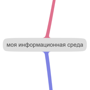 моя информационная среда