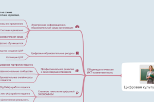 Цифровая культура педагога