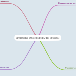 Цифровые образовательные ресурсы