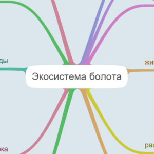 экосистема болота