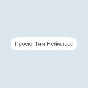 Проект «Тим Неймлесс»: ИИ-сервис по найму