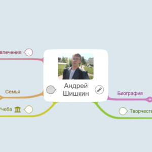 Мои достижения