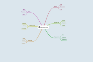 Янакова В.В