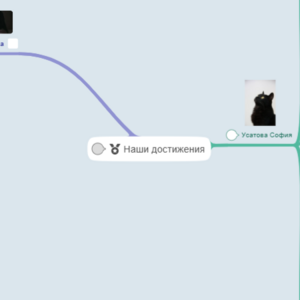 Наши достижения