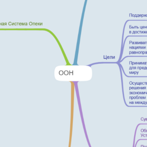 Интеллектуальная карта ООН