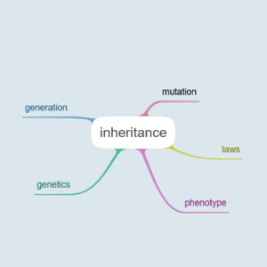 inheritance