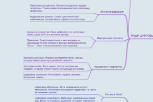 «Прекрасный, опасный, кибербезопасный мир». Романенко Ксения ИИЯ ОЗФО 401/2