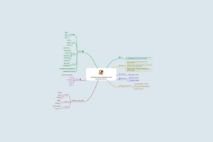 Грамматические категории имени существительного