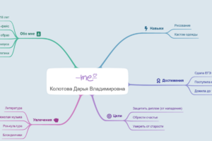 Мои достижения