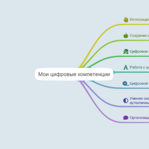 Мои цифровые компетенции