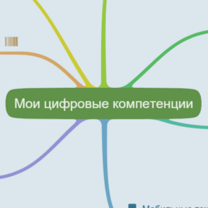 Мои цифровые компетенции