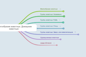 тема 24 