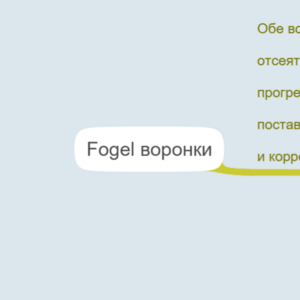 Fogel воронки