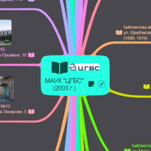 История библиотек Тюмени в пространстве локальной идентичности