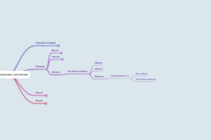 Ментальная карта для осознания текущего внутреннего состояния и реакции на события