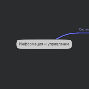 информационное управление