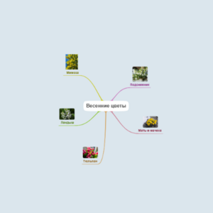 Весенние цветы