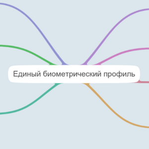 Единый Биометрический профиль
